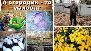 ОГОРОДИК МАЛОВАТ.