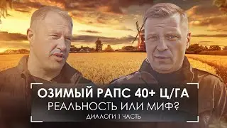 Как вырастить озимый рапс? Принципы и технологи, лайфхаки и секреты из Брянской области. 