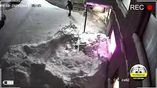 С Карельской, 4, принёс мусор на Карельскую, 5. 