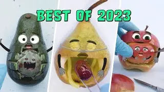 MY BEST FOODSURGERIES OF 2023 - LIFE IS BETTER WITH DOODLES🤣❤️  