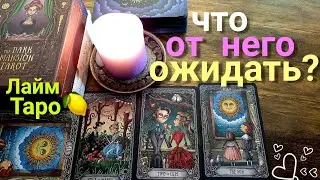 ЛАЙМ ТАРО Lime tarot Таро гадание онлайн ЧТО ОТ НЕГО ОЖИДАТЬ? ЕГО ДЕЙСТВИЯ? Таро прогноз