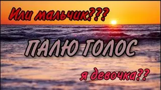 ПАЛЮ СВОЙ ГОЛОС! КТО Я? мальчик? ИЛИ девочка? ВСЯ ПРАВДА. \ВОПРОС-ОТВЕТ\ НОВЫЙ НИК??#animaljam #фоня