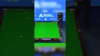 A Mark Williams Special ✨ 