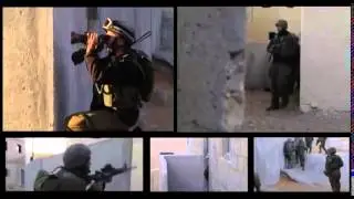 זרוע היבשה   כל מה שרציתם לדעת