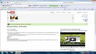 dispute content matches youtube wmg copyright