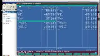 11. postgreSQL - data global