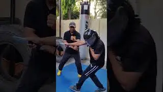 Foshan Yuen Kuen Wingchun ( Yiu Choi Snake Crane Lineage) 