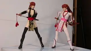 ファイセンTB・S52A黒：S20A白・Dead or Alive　霞　SET073　(C)黒（B)白