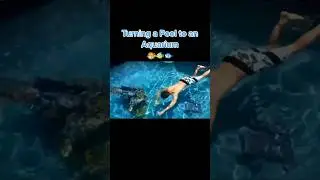 Aquarium Pool #youtubeshorts #shortsfeed #trending #viral #satisfying #shorts