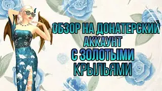 Обзор на донатерский аккаунт с золотыми крыльями | Авакин лайф