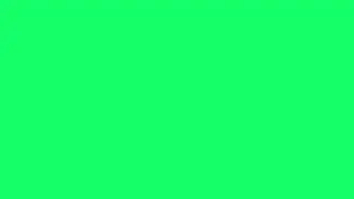 30 Min Of Neon Green Background in 4K