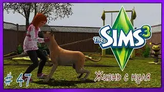 LP/Sims 3/Жизнь с нуля/# 47/