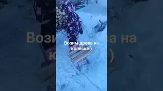 Дочь помогает носить дрова !