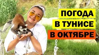 Погода в Тунисе в октябре. Температура воды в море в Тунисе
