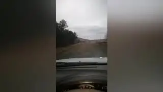 Sardines run 2020   part 1