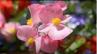 ОБРАЩЕНИЕ ЛИДЕРА к ИНВЕСТОРАМ !!!