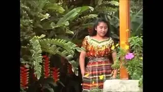 Rosy Castro Amor De Cristo