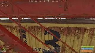 rust bug.