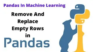 Remove And Replace Empty Rows Using Pandas | Machine Learning | Pycharm | Data Cleaning