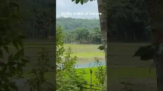 In The Midst of Nature | Nature Music & Mathematics #maths #viralshorts #youtubeshorts