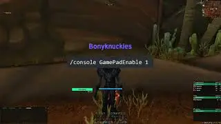 How I play World of Warcraft with a controller