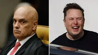 ELON MUSK GOLEIA XANDÃO COM 68% DE APROV'AÇÃO