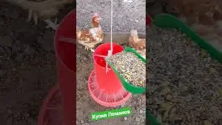 Шок!!! купил кроссов, Большой Папа ты чего🫨