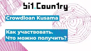 Bit.Country - Crowdloan Kusama. Как участвовать. Что можно получить
