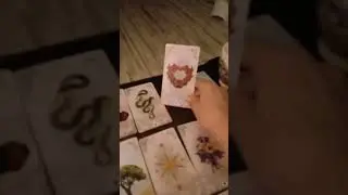 обстоятельства пропажи или ключ к исчезновению Ирины Сафоновой , синтез