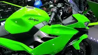 Kawasaki Ninja 250 2019