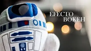 Efecto Bokeh, dale un toque distinto a tus fotografías