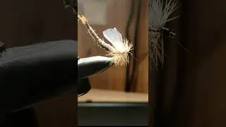 СУХАЯ МУШКА ПОДЁНКА #fishing #flytying #снасти #поденка #мушка