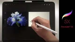 Procreate 5X New Features Part 3: Reference Panel, Private Layers and Canvas Size