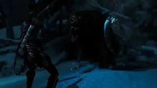 Rise Of The Tomb: Raider Bear Chase
