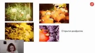 Fotoshkola  Фотография от настроек до идеального кадра  Дарья Булавина