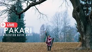 Pakari- Magic Meditation Music