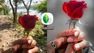 Snapseed Photo Editing