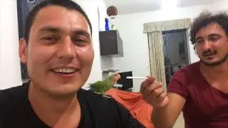 My friends, funny parrot and me in Malta:)