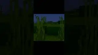 Relax in minecraft#shorts