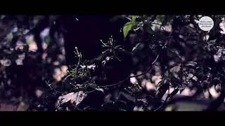 "BARISH" dekh kaise baras raha hai...