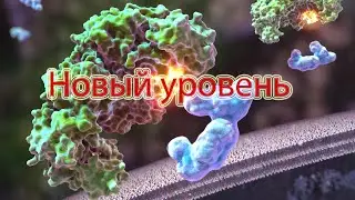 Трансформация физического тела и Токсикация!