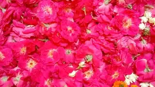 Ганеша Ягья. 18.05.22