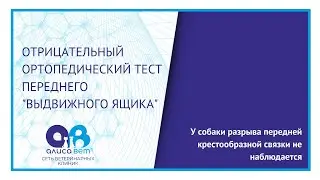 Тест переднего выдвижного ящика (отрицательный)