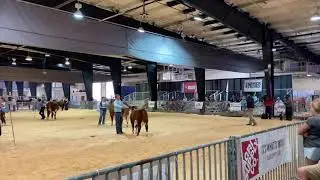 North Carolina State Fair teets
