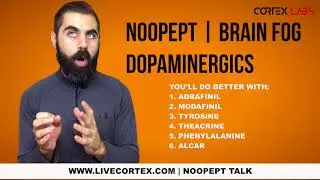 Fixing Noopept Brain Fog OR shifting to Dopaminergic stacks
