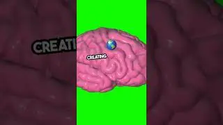 Unveiling the Mysteries of Vision of eyes #knowledge #shorts