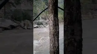 Та Самая Долина реки Парвати. Касоль. Гималаи. Химачал - Прадеш. 