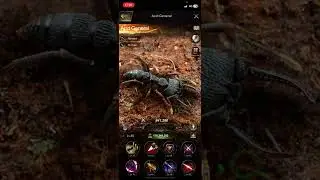 Special Ants and their types, some info about Special Ant Duel