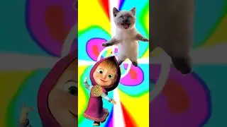 Маша и Котик танцуют / Танцевальный батл