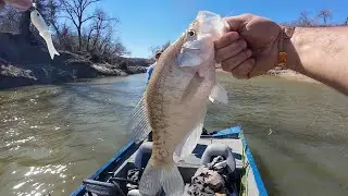 Spawning CREEK Crappie Fishing (Catch Clean Freeze?)